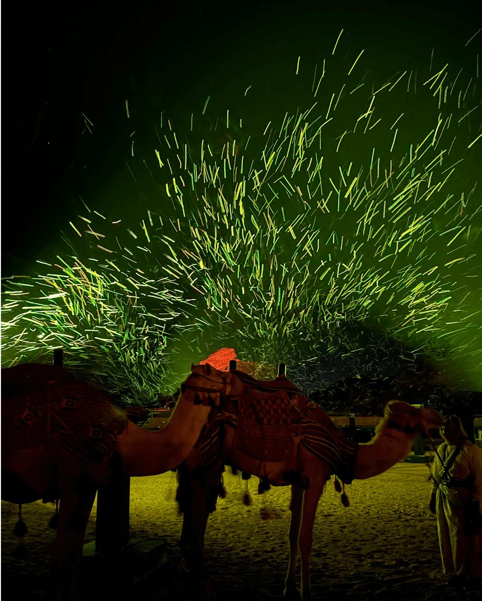 Daan Roosegaarde