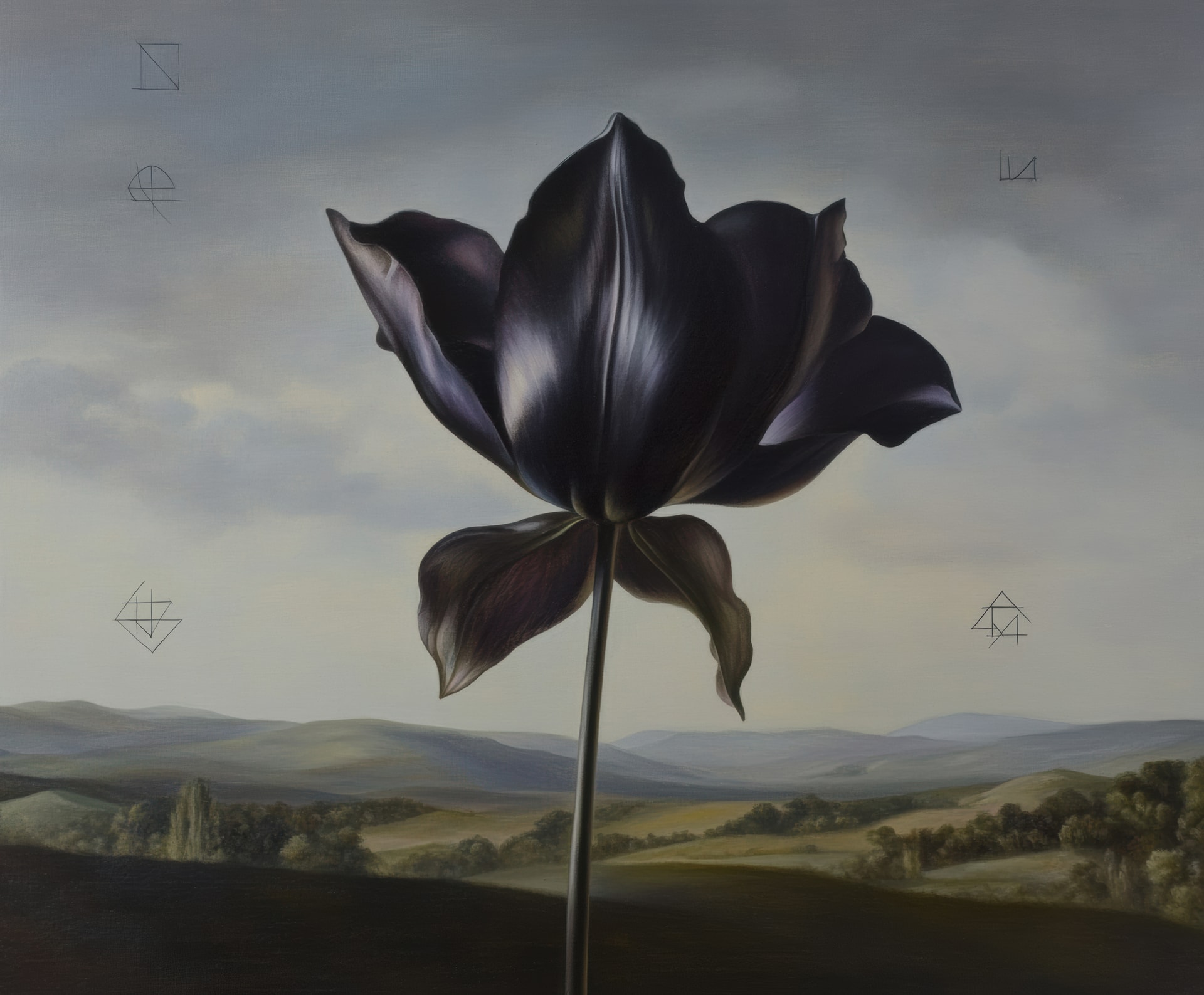 Heavy Petal