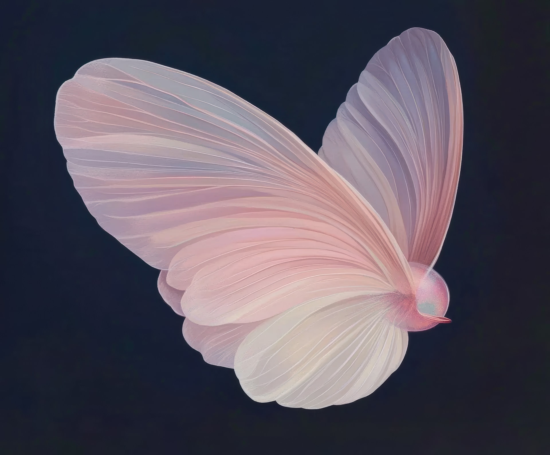 Soft Wings