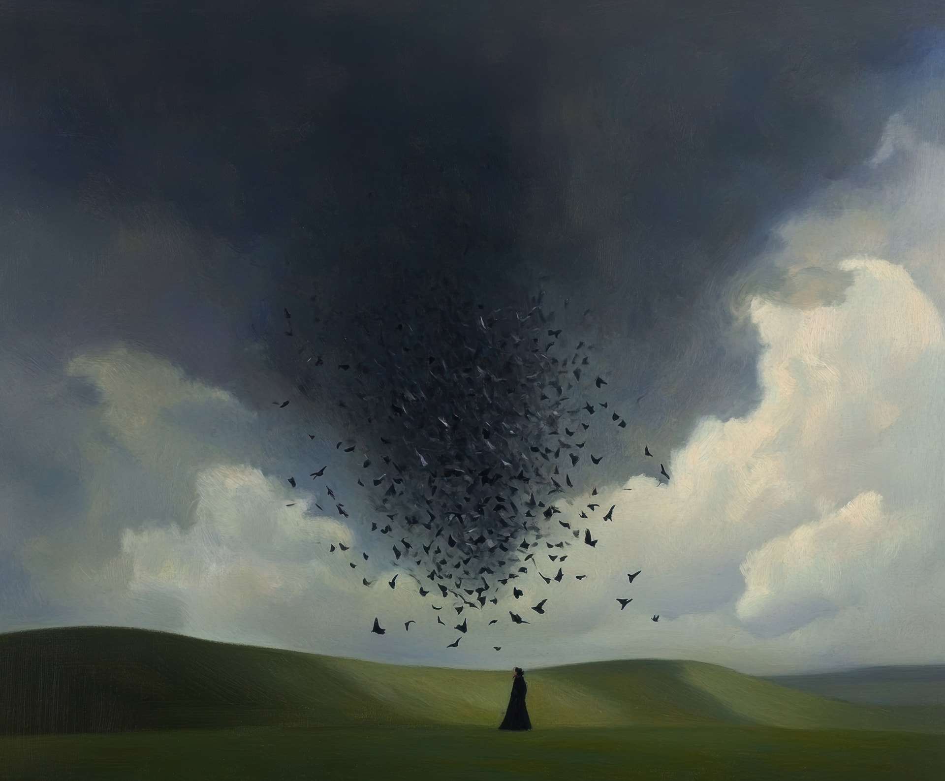Every Crow I Know