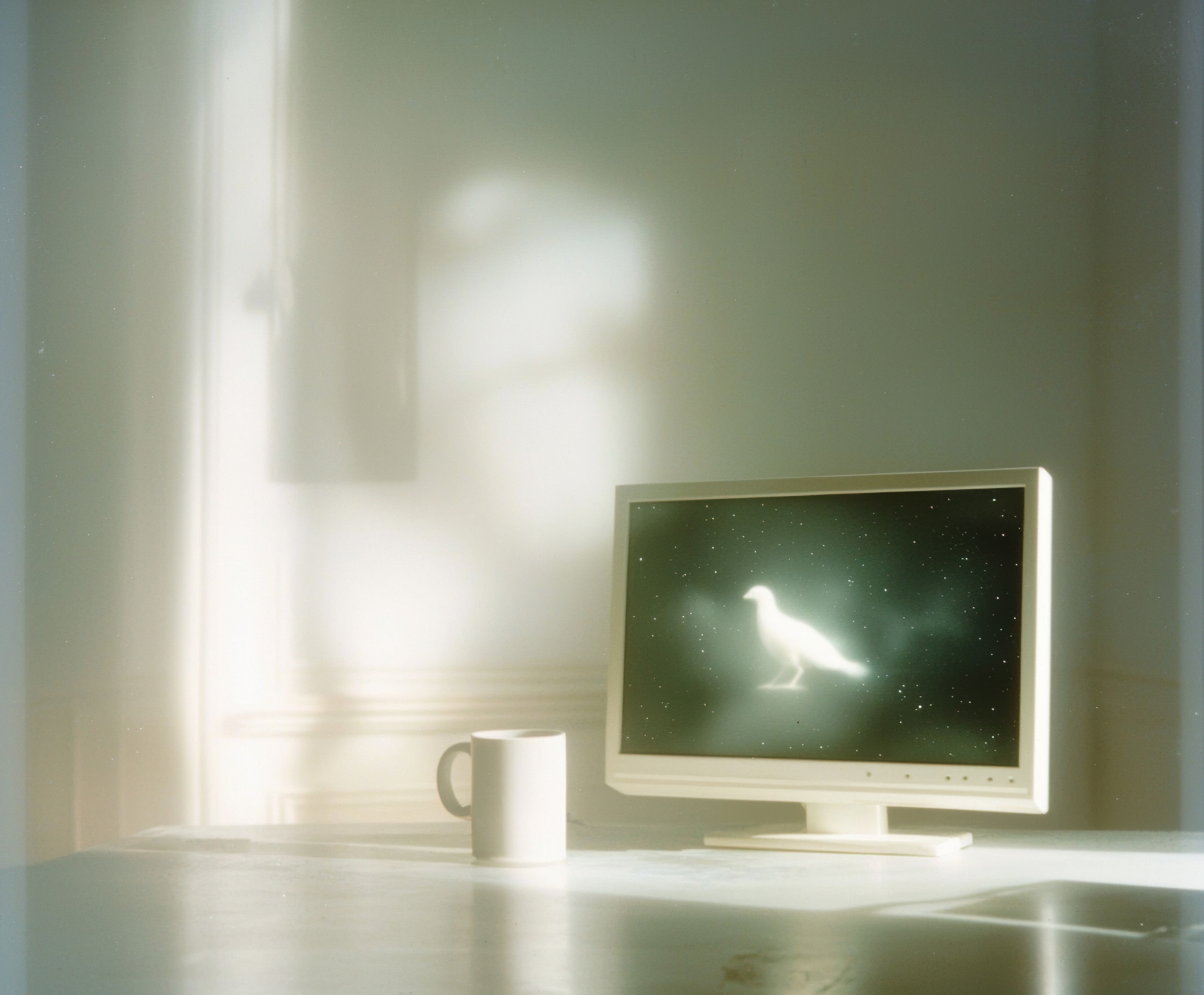 A Bird Trapped In Code